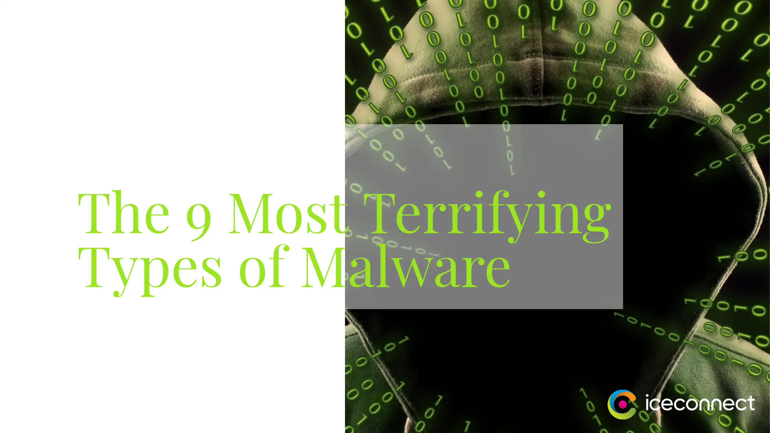 Malware Intruder